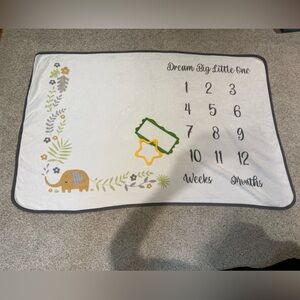 Double-Sided Baby Milestone Photo Blanket